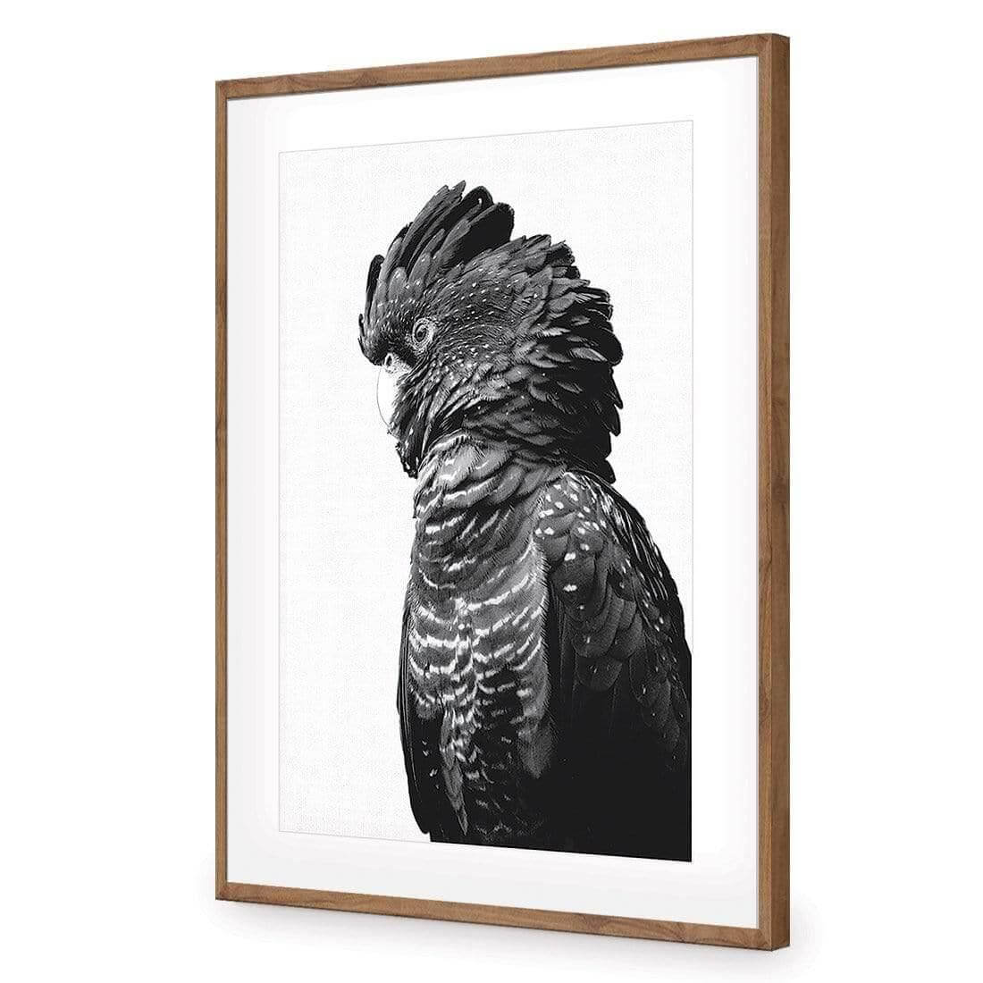 Lady Black Cocky, Black & White - Wall Art Designs - AU_1043_BR_V WAD_AP - 030 - MAT_45x30_S - 2538 - NAT