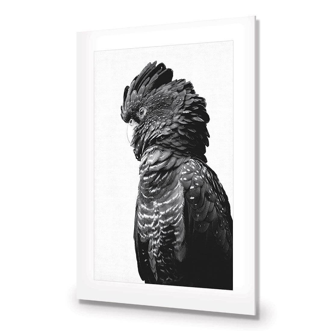 Lady Black Cocky, Black & White - Wall Art Designs - AU_1043_BR_V WAD_AP - 030 - MAT_45x30_NONE