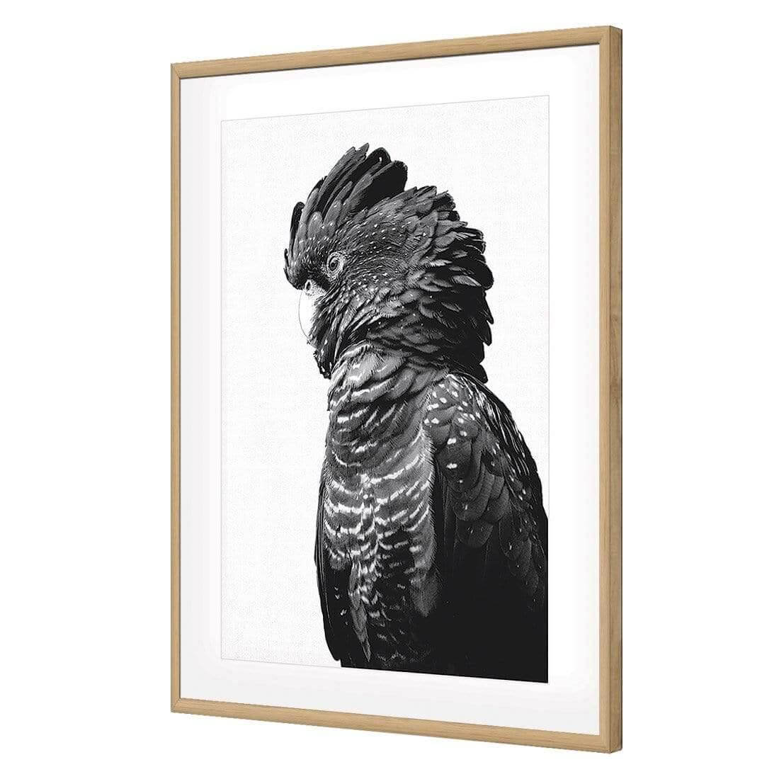 Lady Black Cocky, Black & White - Wall Art Designs - AU_1043_BR_V WAD_AP - 030 - MAT_45x30_S - 2538 - OAK