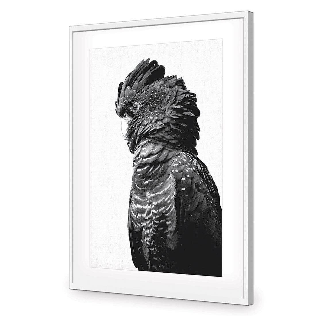 Lady Black Cocky, Black & White - Wall Art Designs - AU_1043_BR_V WAD_AP - 030 - MAT_45x30_S - 2538 - WHT