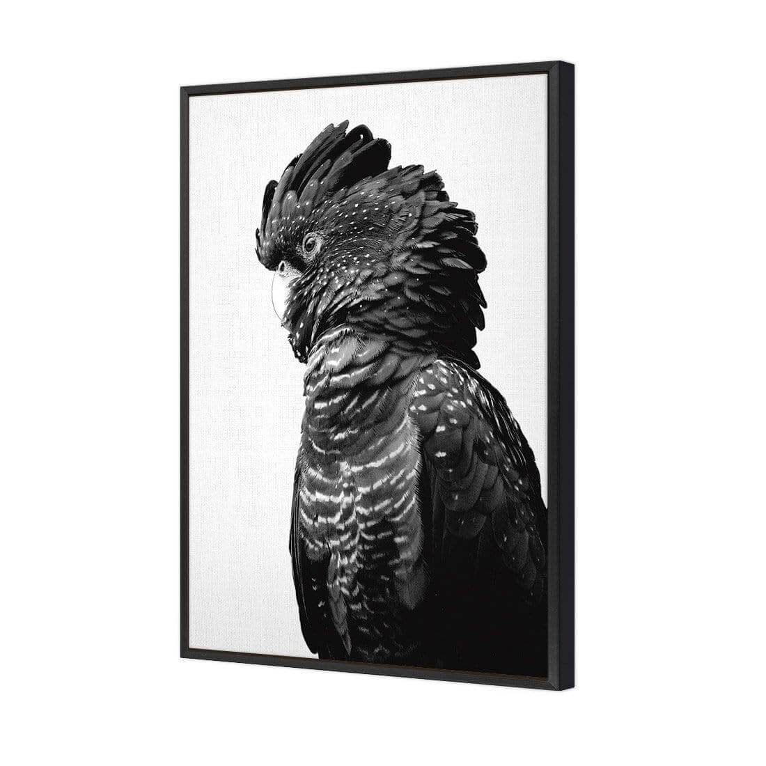 Lady Black Cocky, Black & White - Wall Art Designs - AU_1043_BR_V WAD_CP - MPY - 260 - M - S - S_45x30_S - 1550 - BLK