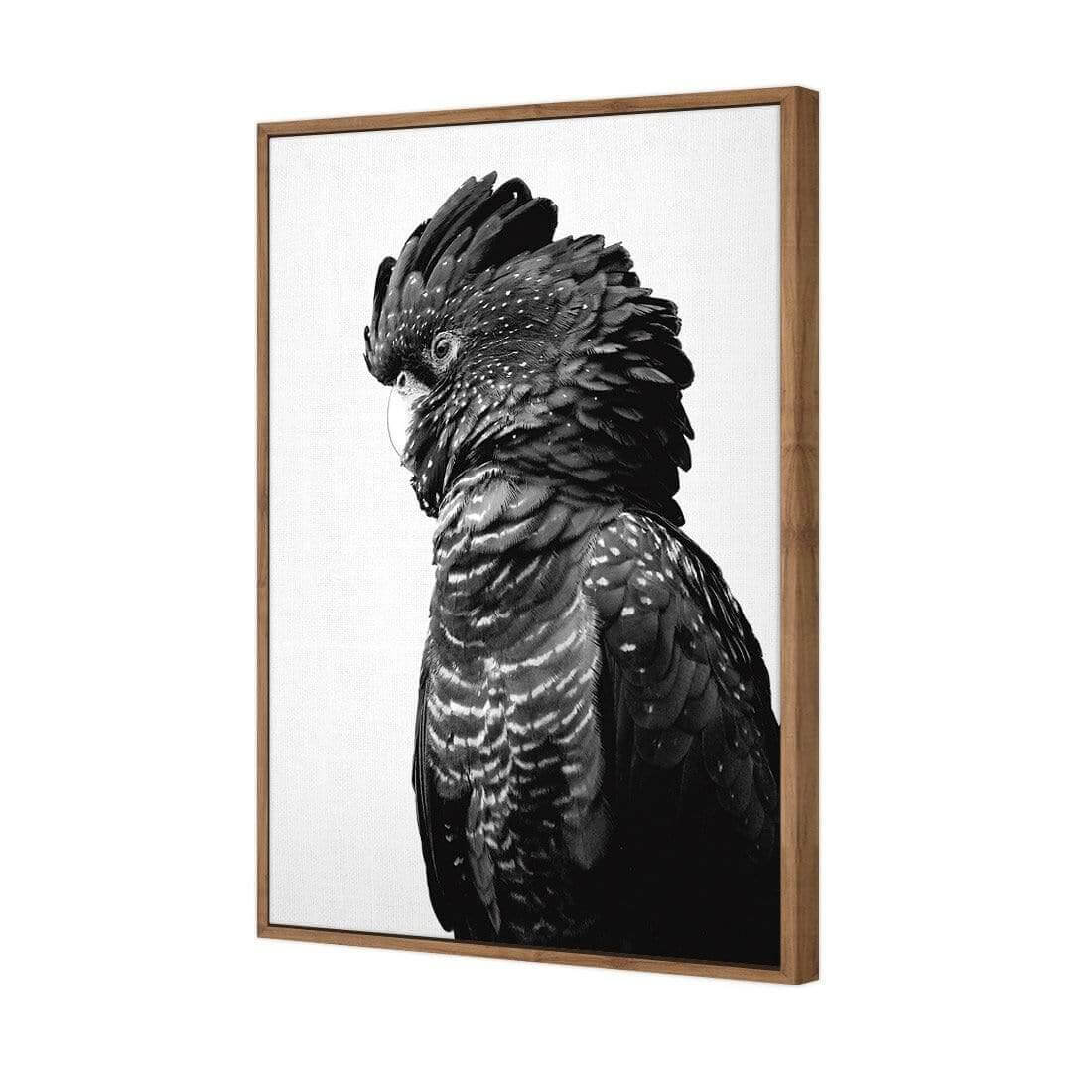 Lady Black Cocky, Black & White - Wall Art Designs - AU_1043_BR_V WAD_CP - MPY - 260 - M - S - S_45x30_S - 1550 - NAT