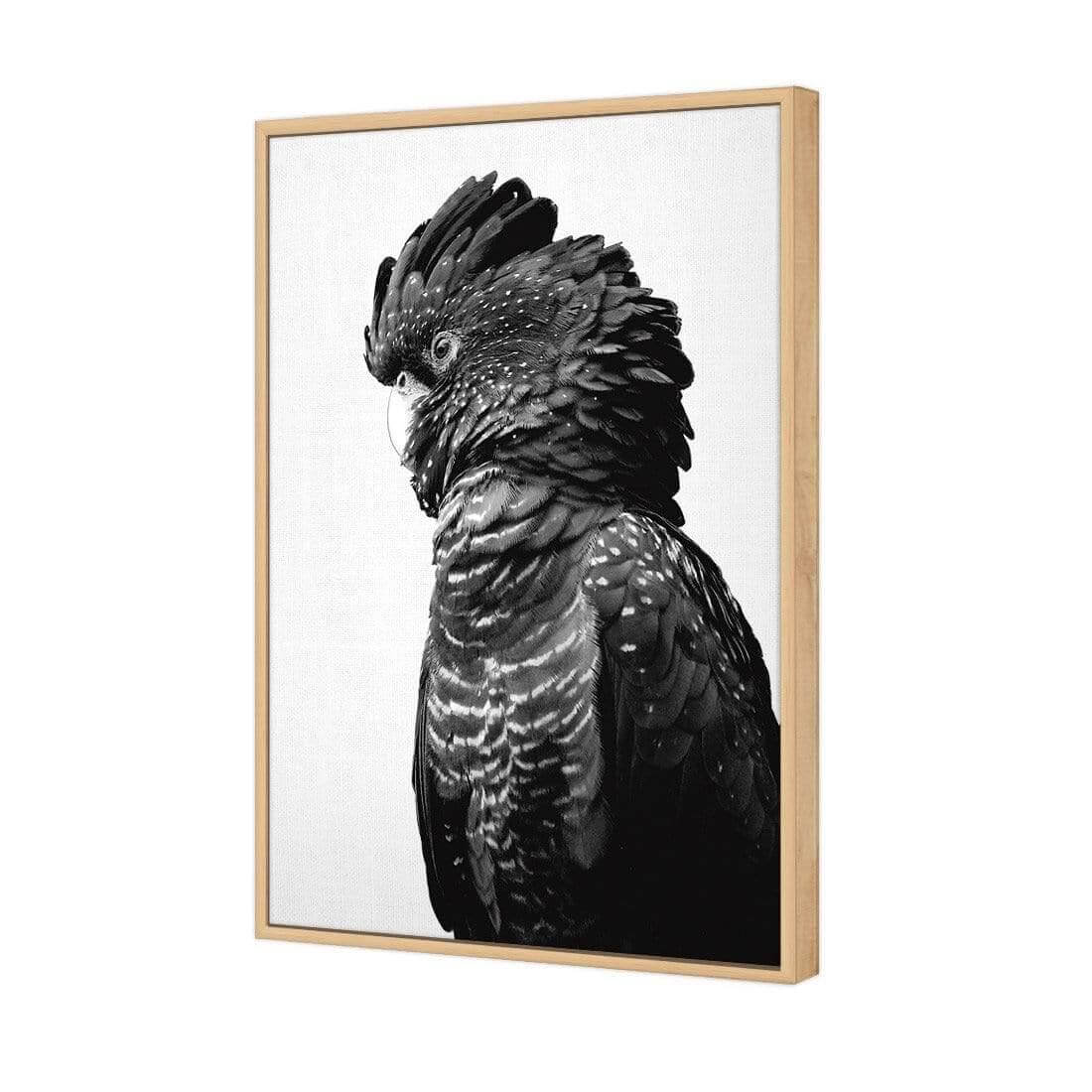 Lady Black Cocky, Black & White - Wall Art Designs - AU_1043_BR_V WAD_CP - MPY - 260 - M - S - S_45x30_S - 1550 - OAK