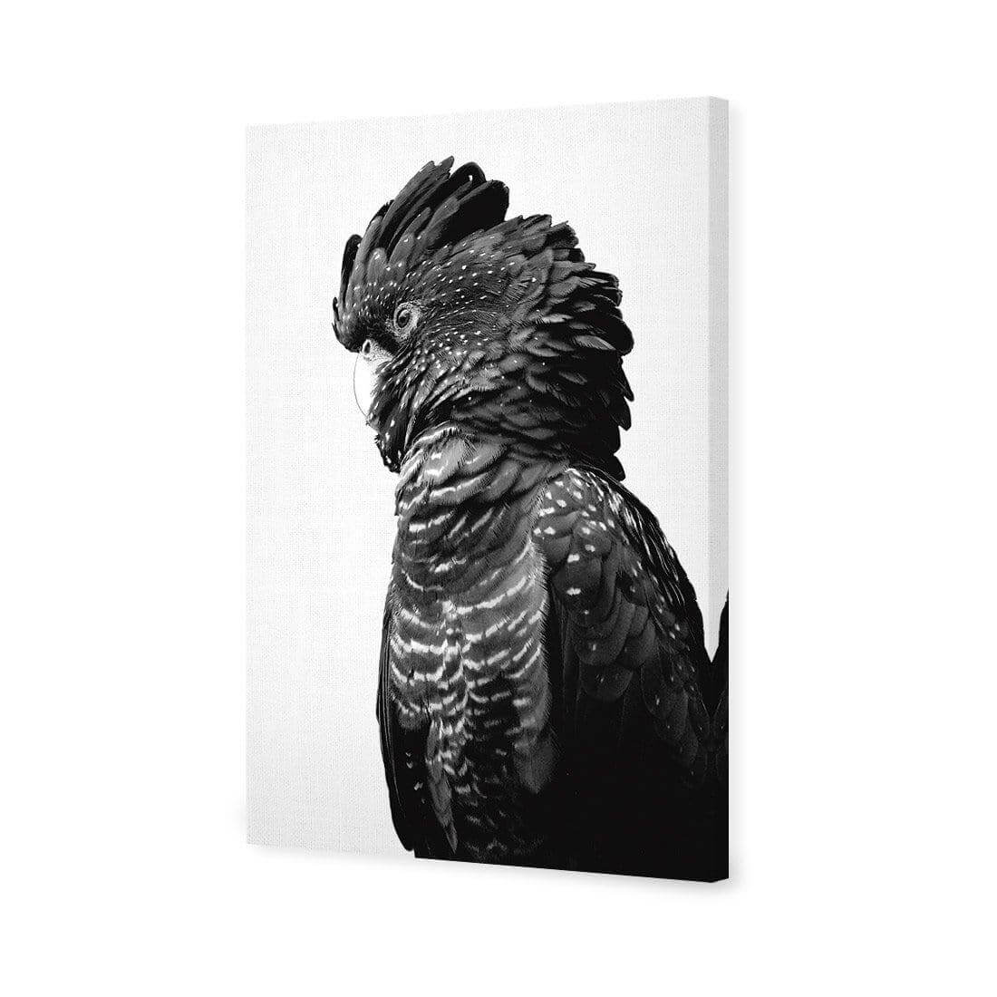 Lady Black Cocky, Black & White - Wall Art Designs - AU_1043_BR_V WAD_CP - MPY - 260 - M - S - S_45x30_NONE