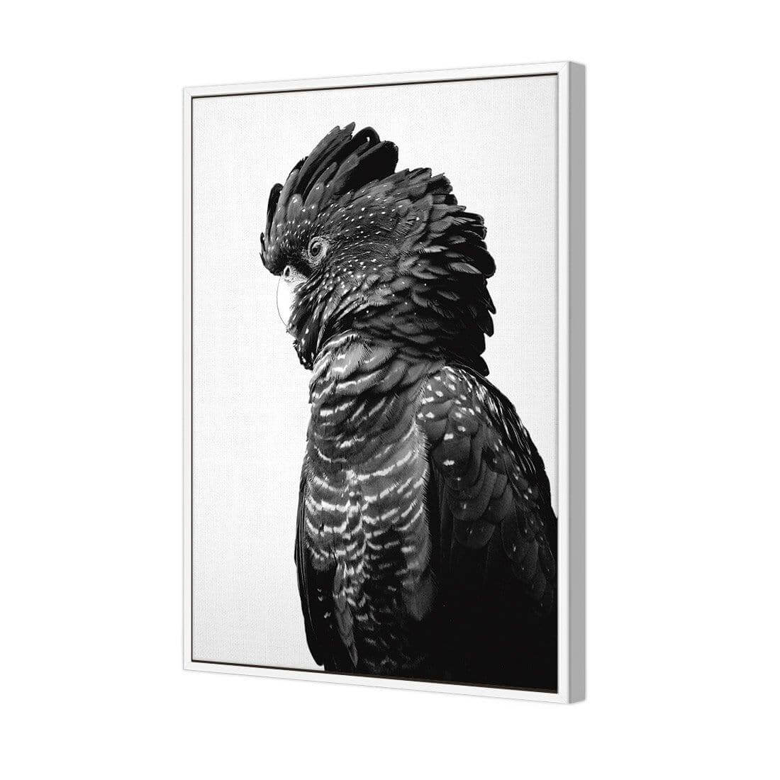 Lady Black Cocky, Black & White - Wall Art Designs - AU_1043_BR_V WAD_CP - MPY - 260 - M - S - S_45x30_S - 1550 - WHT