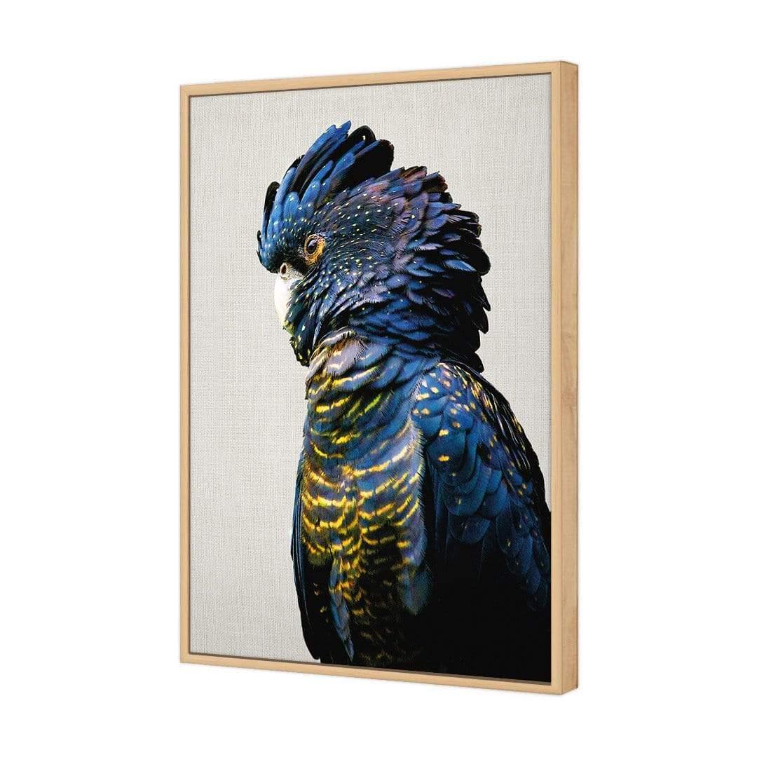 Lady Black Cocky - Wall Art Designs - AU_1043_AR_V WAD_CP - MPY - 260 - M - S - S_45x30_S - 1550 - OAK