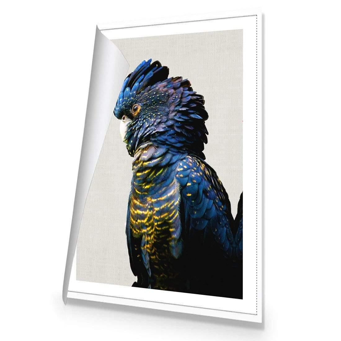 Lady Black Cocky - Wall Art Designs - AU_1043_AR_V WAD_CP - MPY - 260 - M - R_45x30_NONE