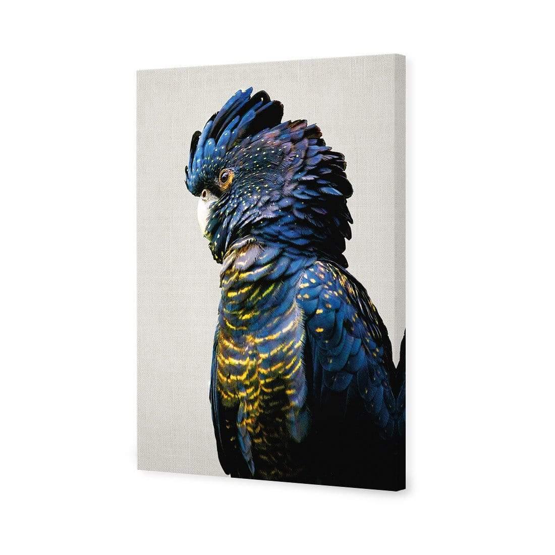 Lady Black Cocky - Wall Art Designs - AU_1043_AR_V WAD_CP - MPY - 260 - M - S - S_45x30_NONE