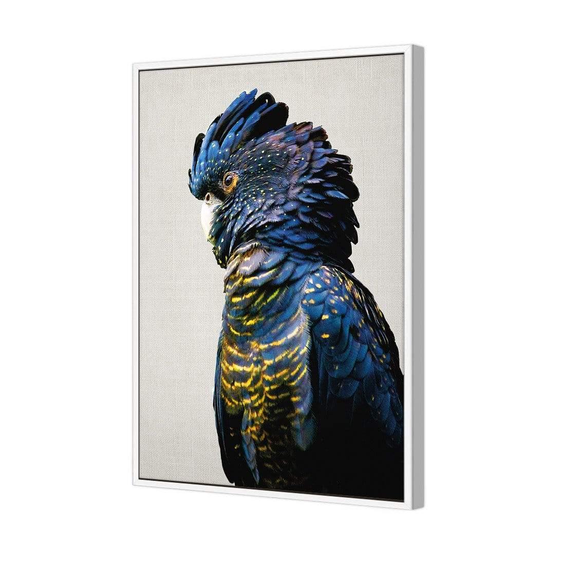 Lady Black Cocky - Wall Art Designs - AU_1043_AR_V WAD_CP - MPY - 260 - M - S - S_45x30_S - 1550 - WHT