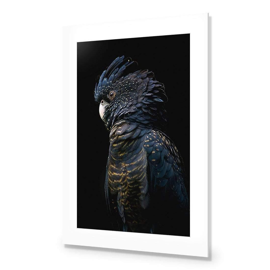 Lady Black Cocky, Dark - Wall Art Designs - AU_1043_CR_V WAD_CP - MPY - 260 - M - S - S_45x30_NONE