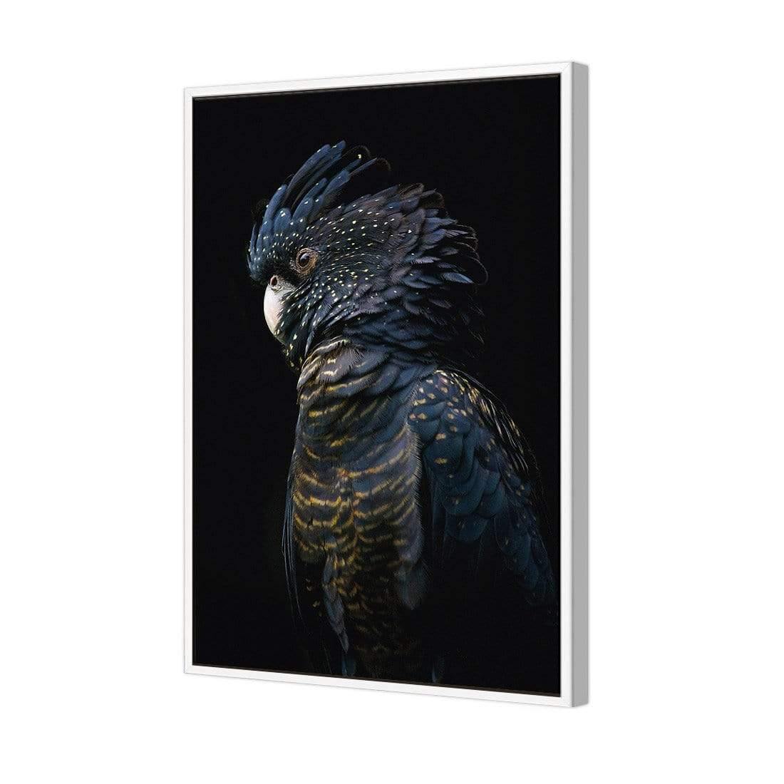 Lady Black Cocky, Dark - Wall Art Designs - AU_1043_CR_V WAD_CP - MPY - 260 - M - S - S_45x30_NONE