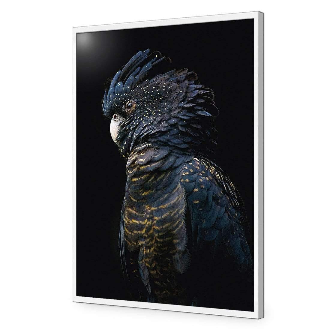 Lady Black Cocky, Dark - Wall Art Designs - AU_1043_CR_V WAD_CP - MPY - 260 - M - S - S_45x30_NONE