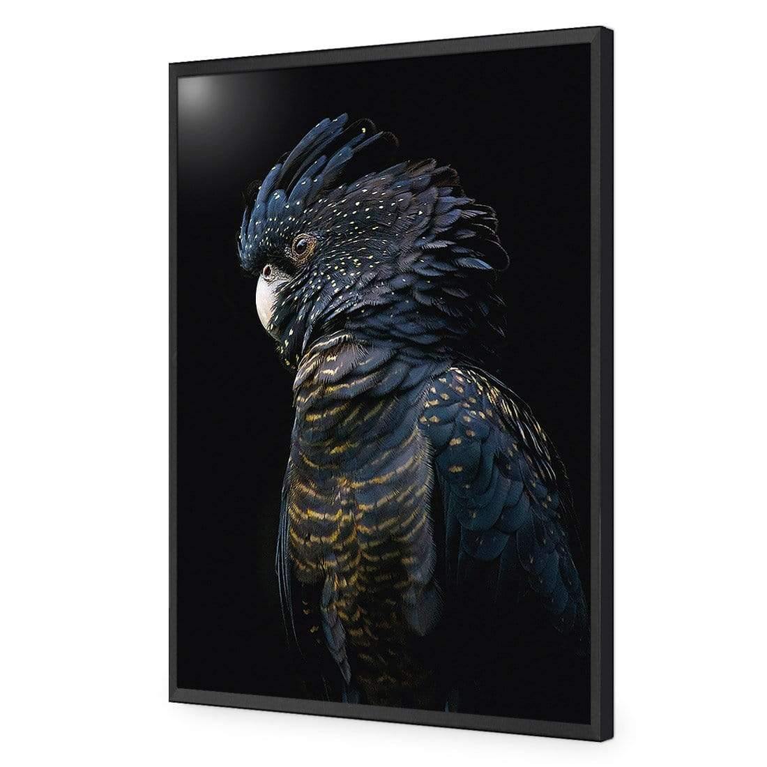 Lady Black Cocky, Dark - Wall Art Designs - AU_1043_CR_V WAD_CP - MPY - 260 - M - S - S_45x30_NONE