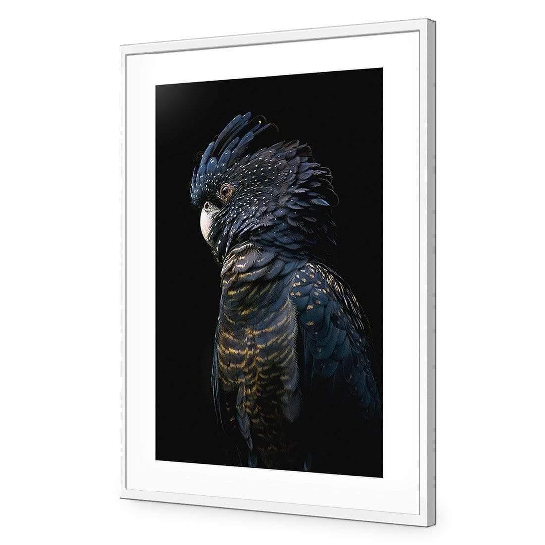 Lady Black Cocky, Dark - Wall Art Designs - AU_1043_CR_V WAD_CP - MPY - 260 - M - S - S_45x30_NONE