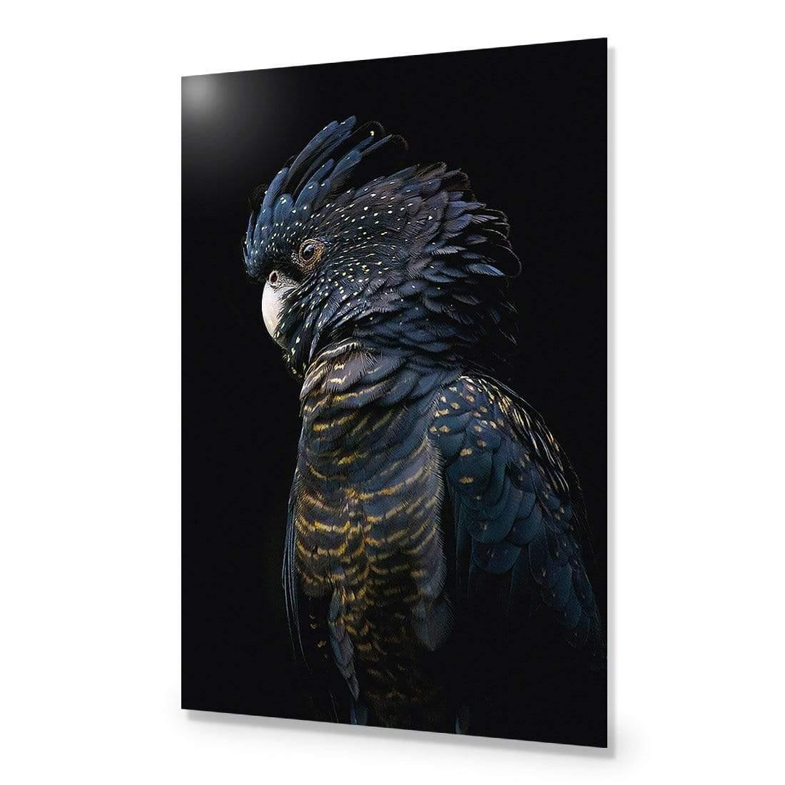 Lady Black Cocky, Dark - Wall Art Designs - AU_1043_CR_V WAD_CP - MPY - 260 - M - S - S_45x30_NONE