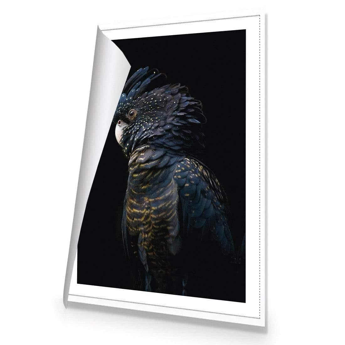 Lady Black Cocky, Dark - Wall Art Designs - AU_1043_CR_V WAD_CP - MPY - 260 - M - S - S_45x30_NONE