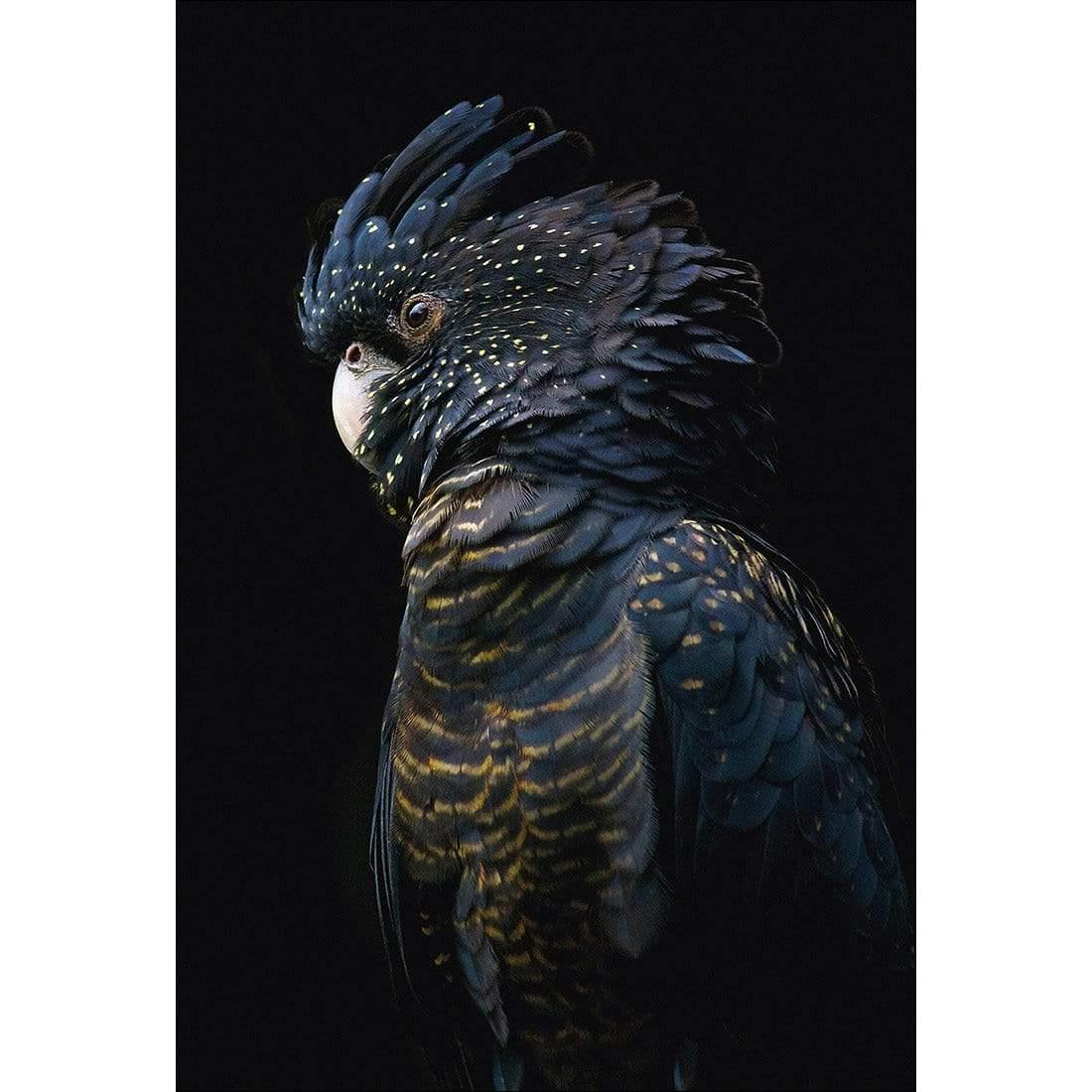 Lady Black Cocky, Dark - Wall Art Designs - AU_1043_CR_V WAD_CP - MPY - 260 - M - S - S_45x30_NONE