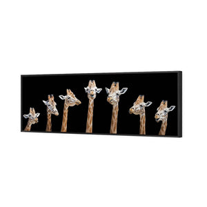 Laughing Giraffes | Classic Canvas | Floating Frame | Black