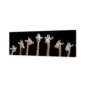 Laughing Giraffes | Classic Canvas | No Frame | Stretched Canvas