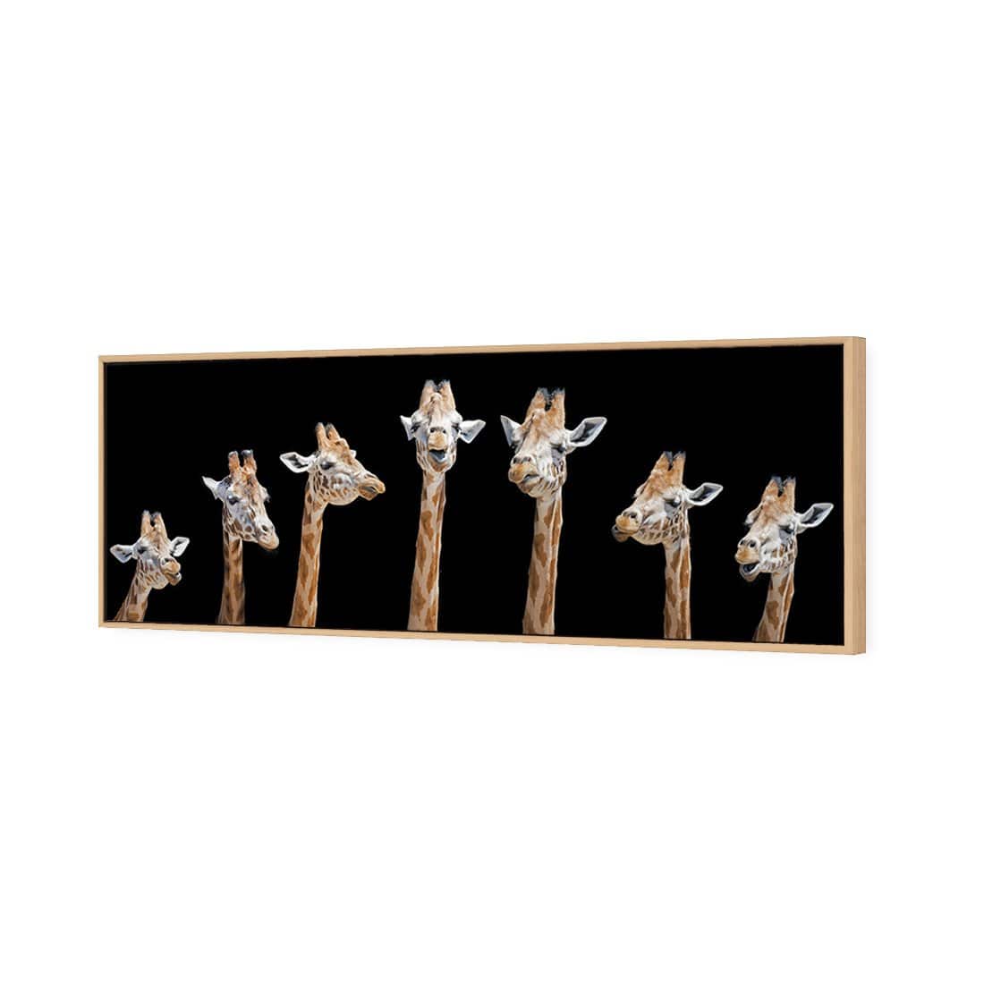 Laughing Giraffes | Classic Canvas | Floating Frame | Oak