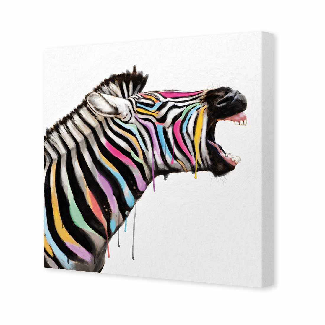 Laughing Stock, Square | Standard Canvas | No Frame | Stretched Canvas