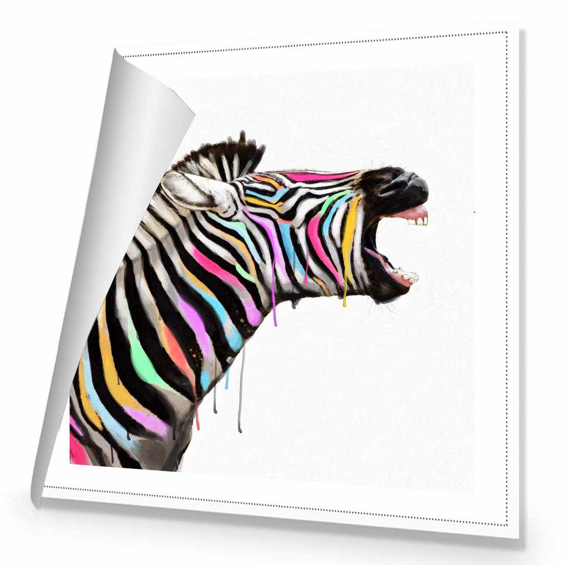 Laughing Stock, Square | Standard Canvas | No Frame | Rolled Canvas