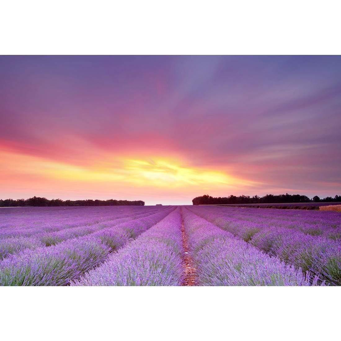 Lavender Sunset - Wall Art Designs - 903_AR_H WAD_CP - MPY - 260 - M - S - S_45x30_NONE