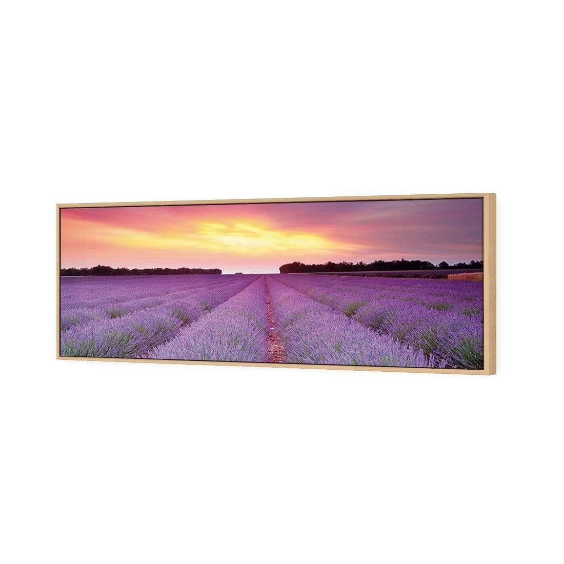 Lavender Sunset (long) - Wall Art Designs - 903_AL_H WAD_CP - MPY - 260 - M - S - S_60x20_S - 1550 - OAK