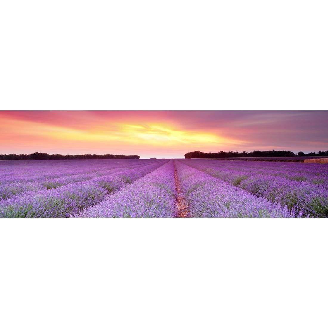 Lavender Sunset (long) - Wall Art Designs - 903_AL_H WAD_CP - MPY - 260 - M - S - S_60x20_NONE