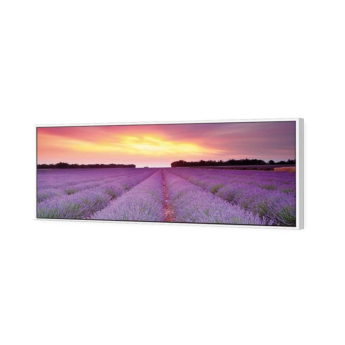 Lavender Sunset (long) - Wall Art Designs - 903_AL_H WAD_CP - MPY - 260 - M - S - S_60x20_S - 1550 - WHT