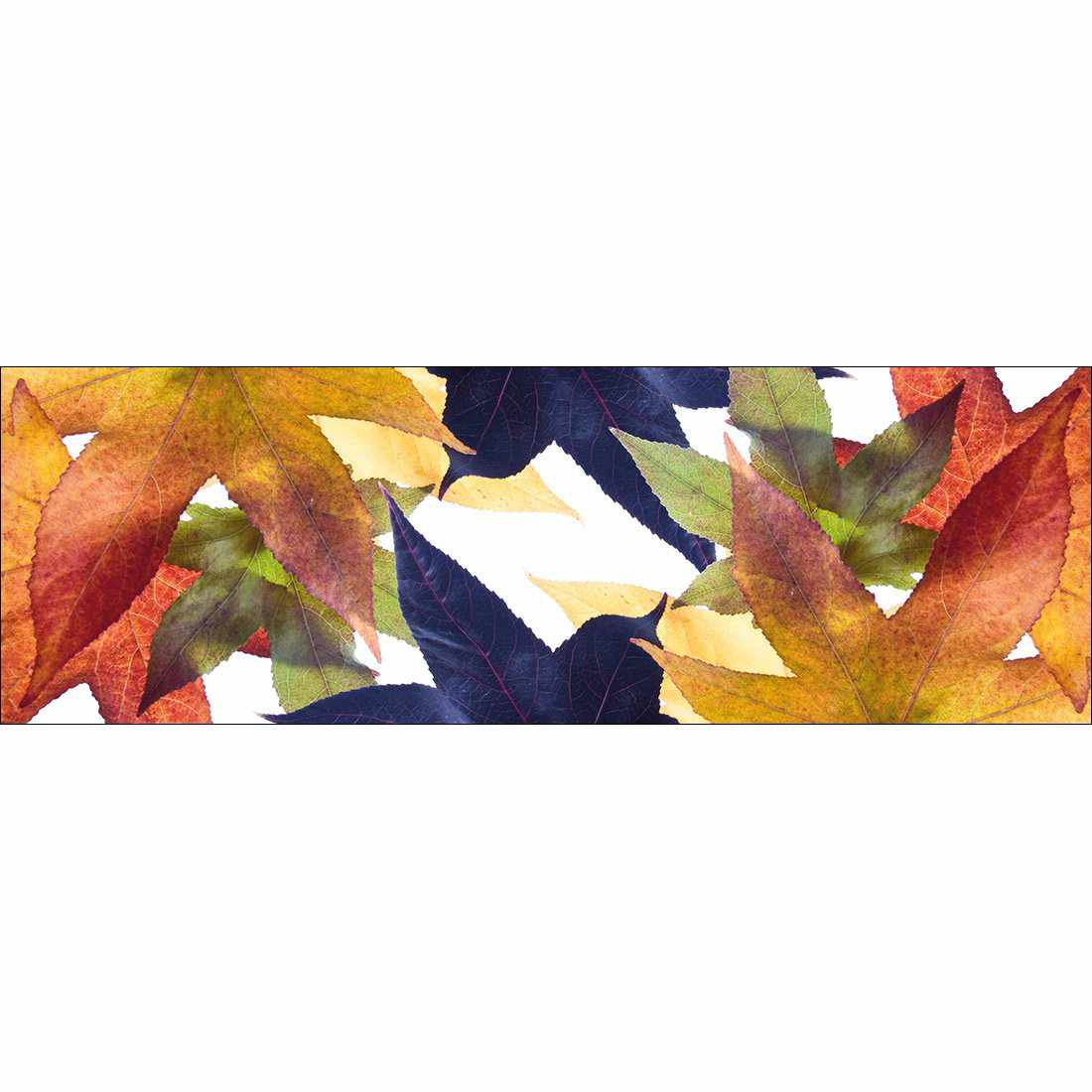 Leaf Kaleidoscope, Long