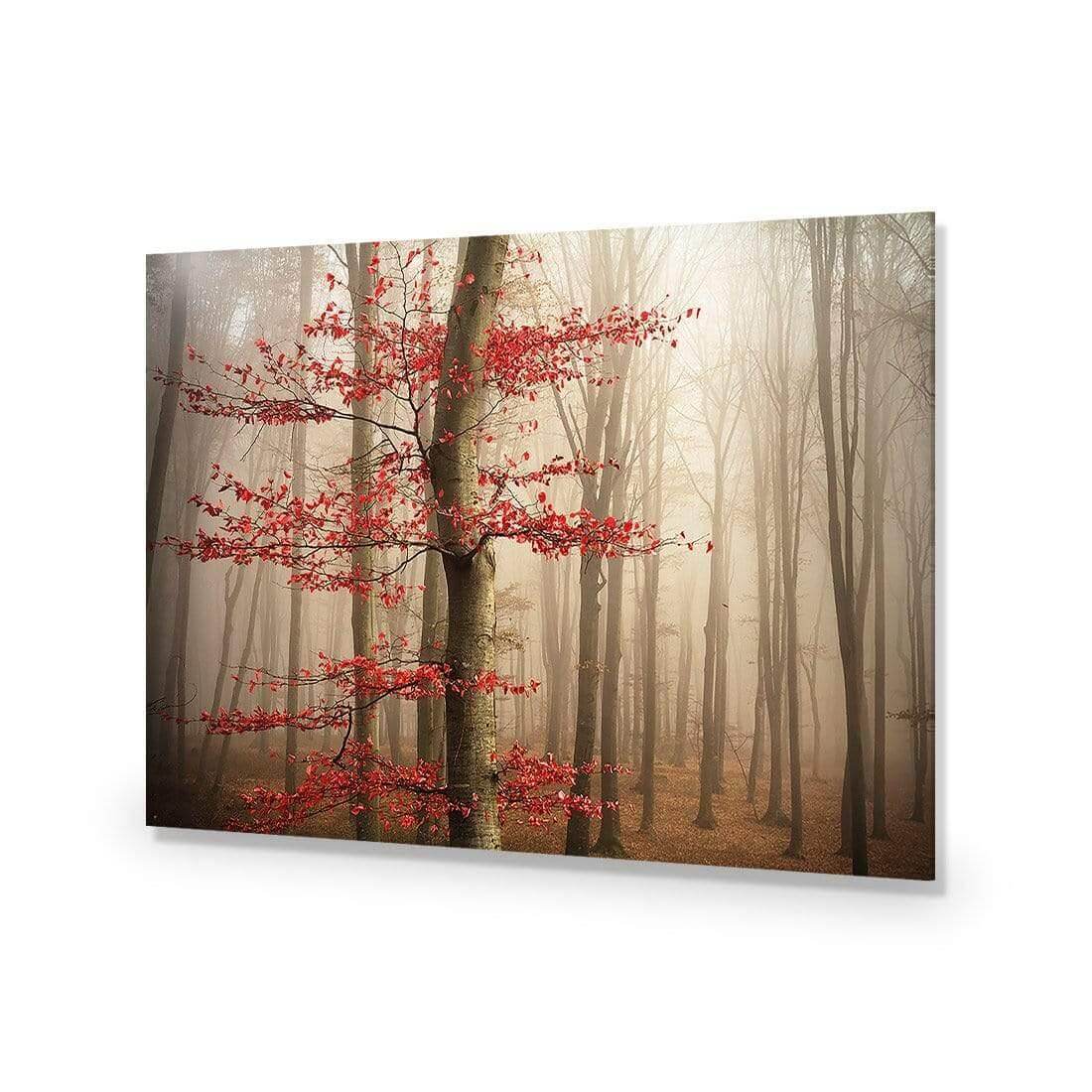 Leaves of Fire - Wall Art Designs - 3756_AR_H WAD_AP - 030 - EDG_45x30_NONE