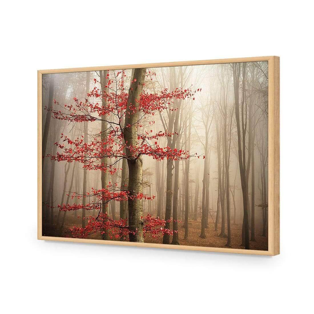 Leaves of Fire - Wall Art Designs - 3756_AR_H WAD_AP - 030 - EDG_45x30_S - 2538 - OAK