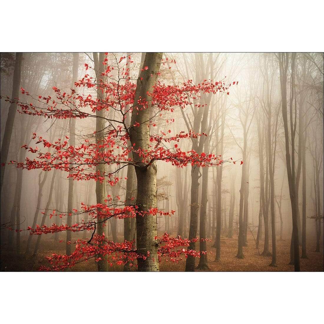 Leaves of Fire - Wall Art Designs - 3756_AR_H WAD_CP - MPY - 260 - M - S - S_45x30_NONE