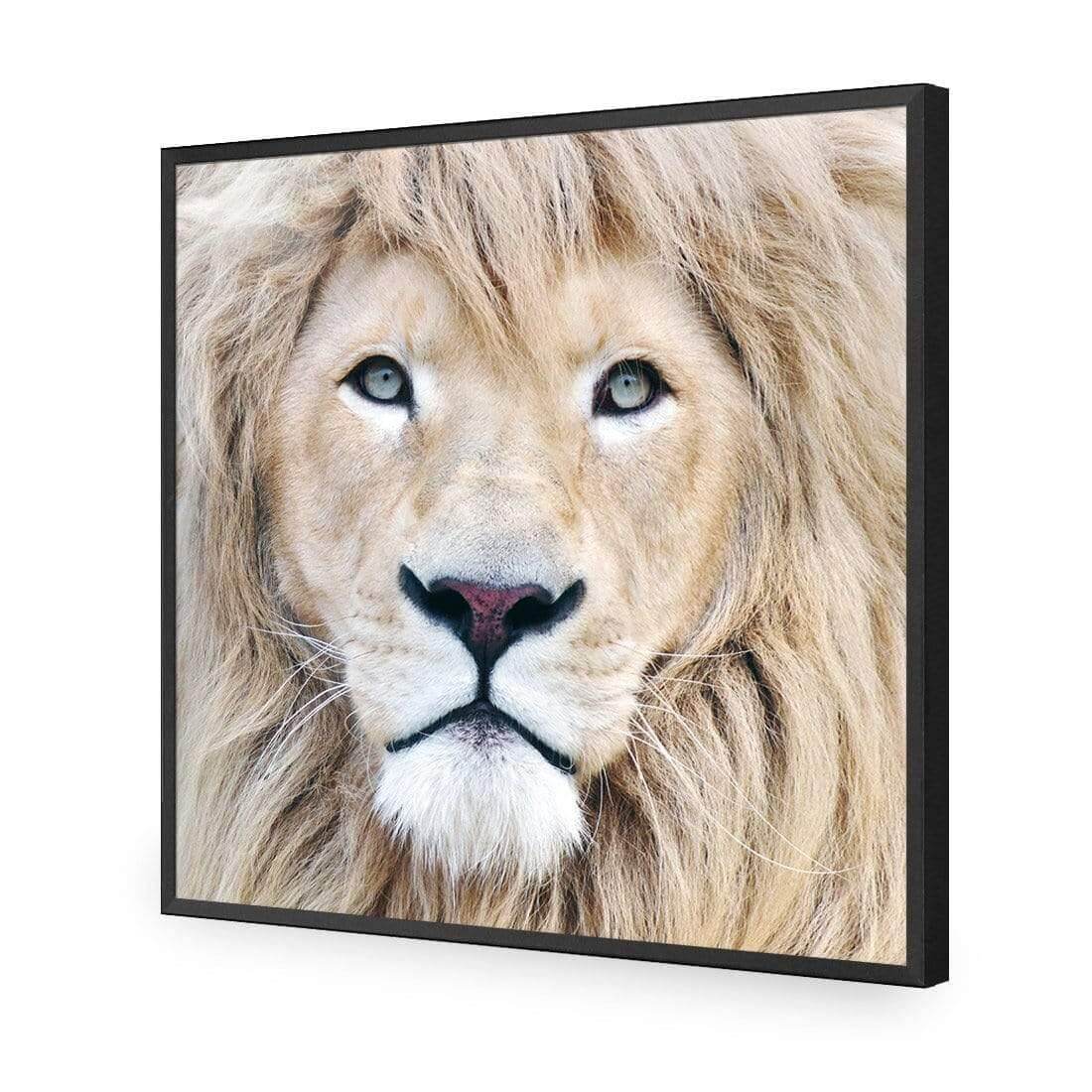 Leo - Wall Art Designs - AU_1070_AS_Q WAD_AP - 030 - EDG_37x37_S - 2538 - BLK