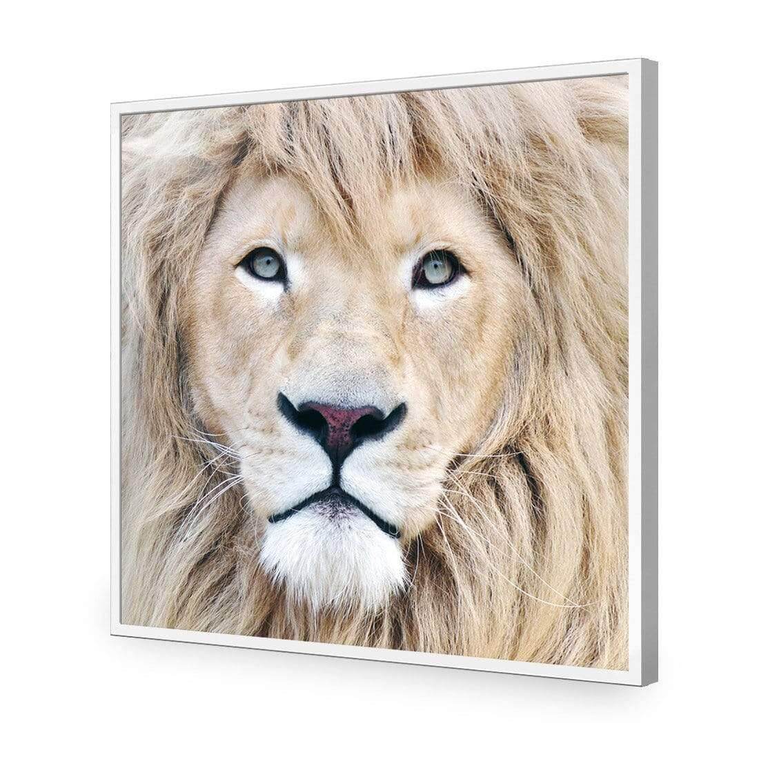 Leo - Wall Art Designs - AU_1070_AS_Q WAD_AP - 030 - EDG_37x37_S - 2538 - WHT