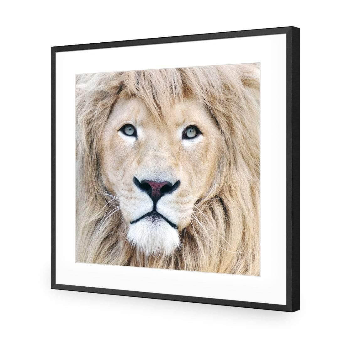 Leo - Wall Art Designs - AU_1070_AS_Q WAD_AP - 030 - MAT_37x37_S - 2538 - BLK