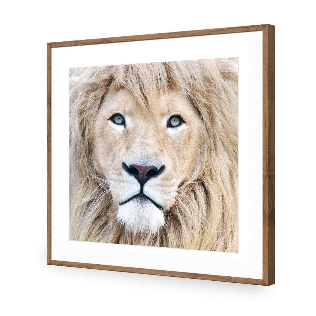 Leo - Wall Art Designs - AU_1070_AS_Q WAD_AP - 030 - MAT_37x37_S - 2538 - NAT