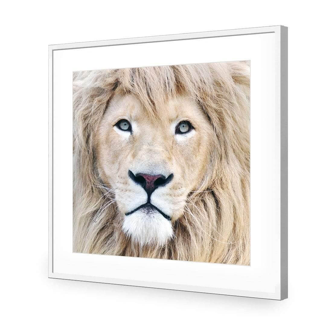 Leo - Wall Art Designs - AU_1070_AS_Q WAD_AP - 030 - MAT_37x37_S - 2538 - WHT