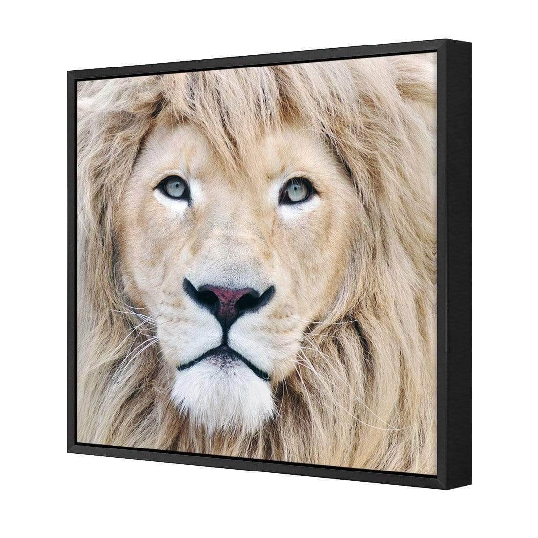 Leo - Wall Art Designs - AU_1070_AS_Q WAD_CP - MPY - 260 - M - S - S_37x37_S - 1550 - BLK