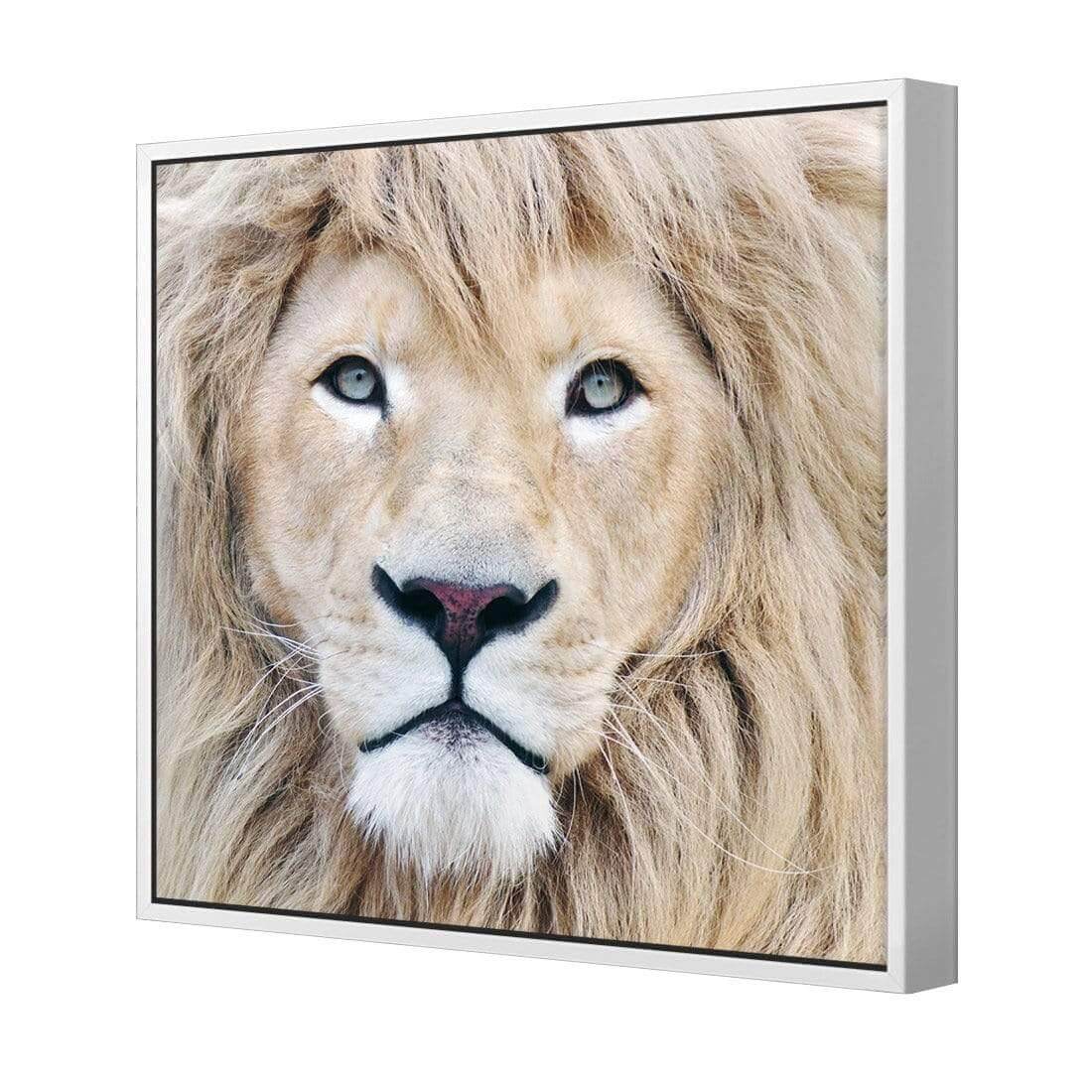 Leo - Wall Art Designs - AU_1070_AS_Q WAD_CP - MPY - 260 - M - S - S_37x37_S - 1550 - WHT