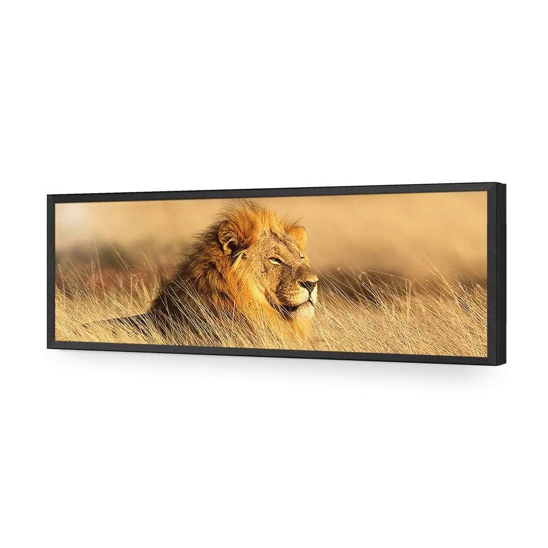 Lion in Grass (Long) - Wall Art Designs - 1190_AL_H WAD_AP - 030 - EDG_90x30_S - 2538 - BLK