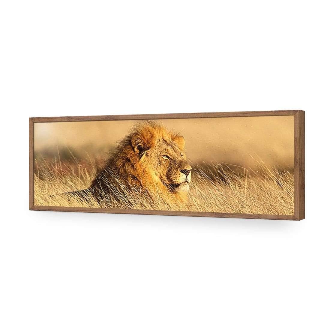 Lion in Grass (Long) - Wall Art Designs - 1190_AL_H WAD_AP - 030 - EDG_90x30_S - 2538 - NAT