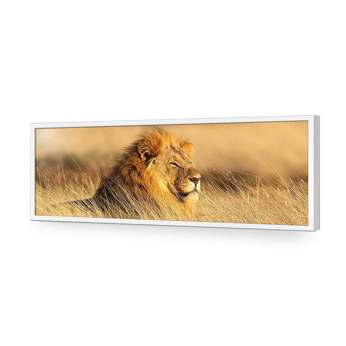 Lion in Grass (Long) - Wall Art Designs - 1190_AL_H WAD_AP - 030 - EDG_90x30_S - 2538 - WHT