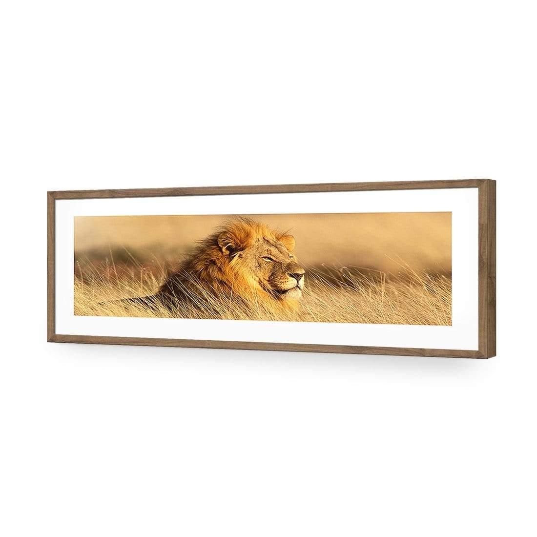 Lion in Grass (Long) - Wall Art Designs - 1190_AL_H WAD_AP - 030 - MAT_90x30_S - 2538 - NAT