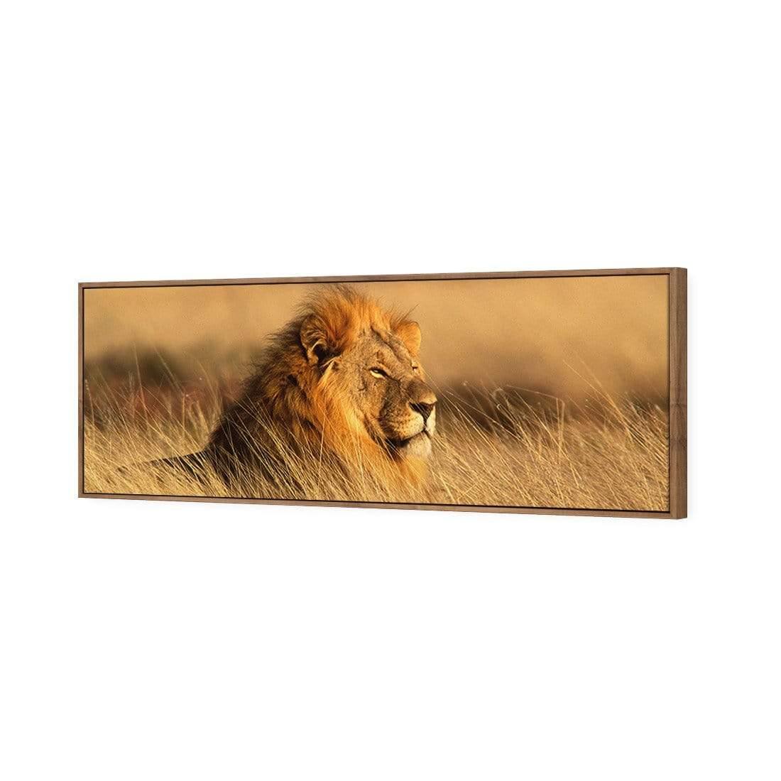 Lion in Grass (Long) - Wall Art Designs - 1190_AL_H WAD_CP - MPY - 260 - M - S - S_60x20_S - 1550 - NAT