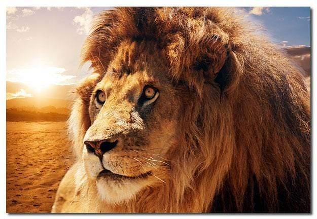 Lion King - Wall Art Designs - 928_AR_H WAD_CP - MPY - 260 - M - S - S_45x30_NONE