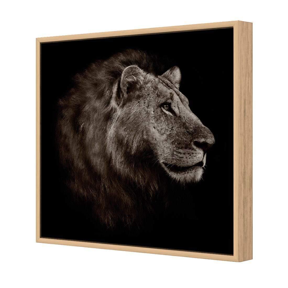 Lion Portrait - Wall Art Designs - 3111_AS_Q WAD_CP - MPY - 260 - M - S - S_37x37_NONE