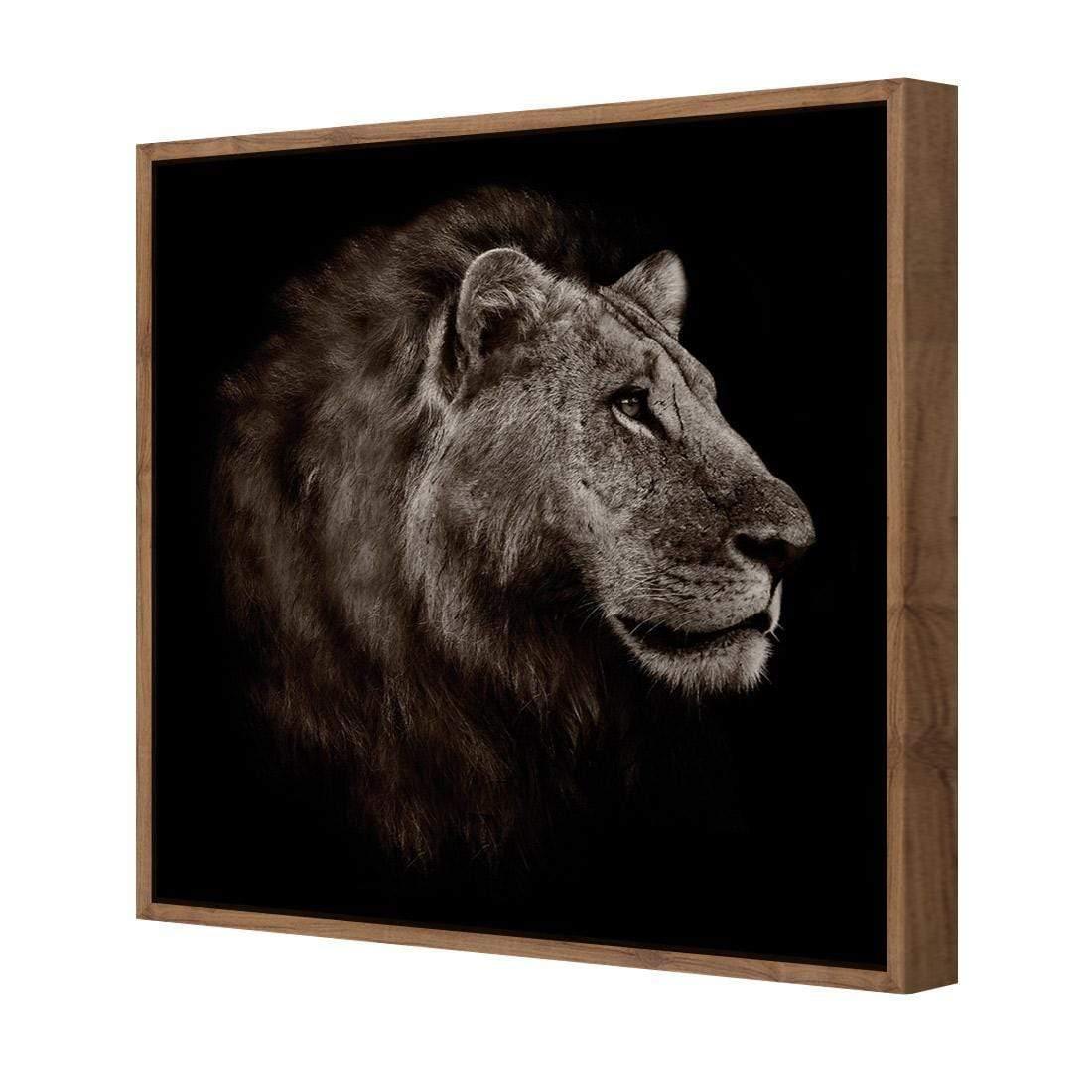 Lion Portrait - Wall Art Designs - 3111_AS_Q WAD_CP - MPY - 260 - M - S - S_37x37_NONE