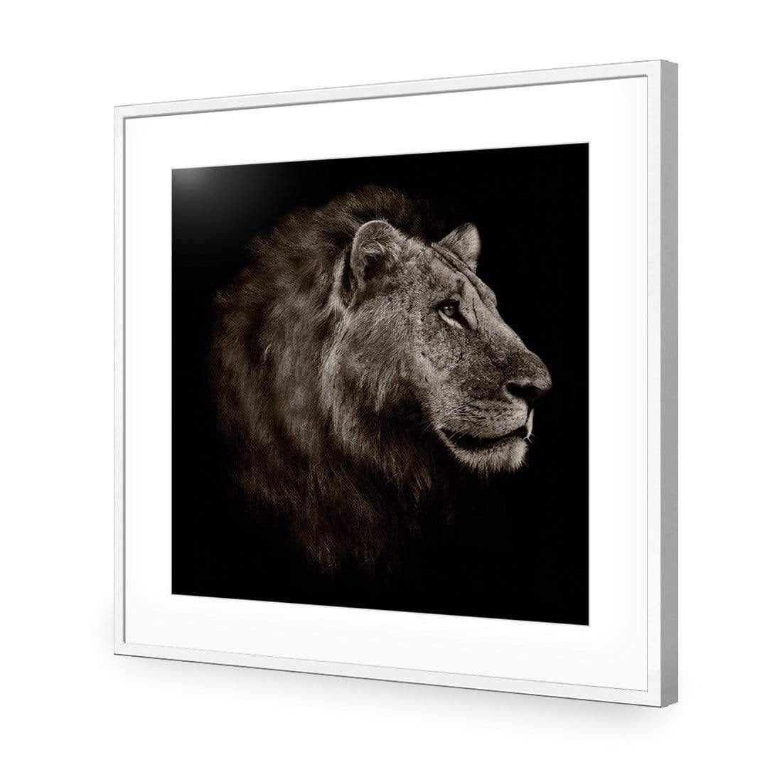 Lion Portrait - Wall Art Designs - 3111_AS_Q WAD_CP - MPY - 260 - M - S - S_37x37_NONE